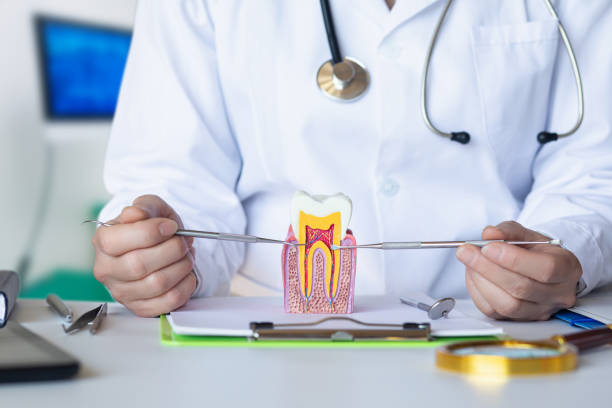Best Weekend Emergency Dentist in Trenton, MO
